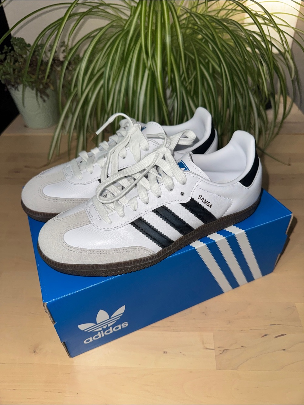 adidas Samba’s Women - Picture 3 of 8